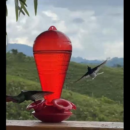 圣罗莎德卡瓦尔El Refugio Del Colibri住宿加早餐旅馆 外观 照片