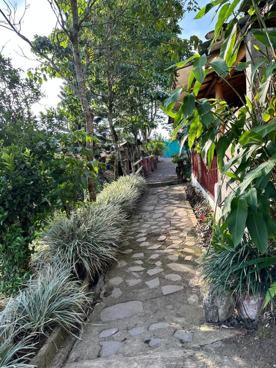 圣罗莎德卡瓦尔El Refugio Del Colibri住宿加早餐旅馆 外观 照片